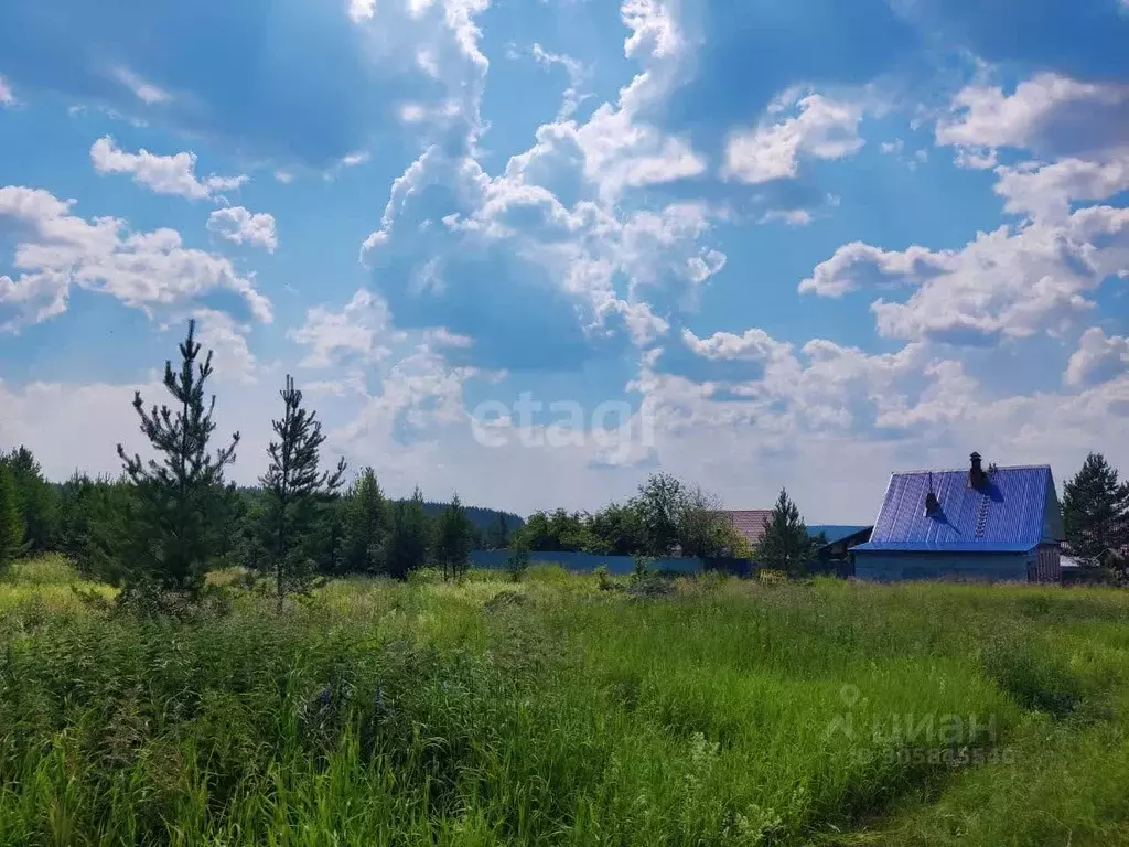 Участок в Свердловская область, Каменский городской округ, д. Шилова  ... - Фото 1