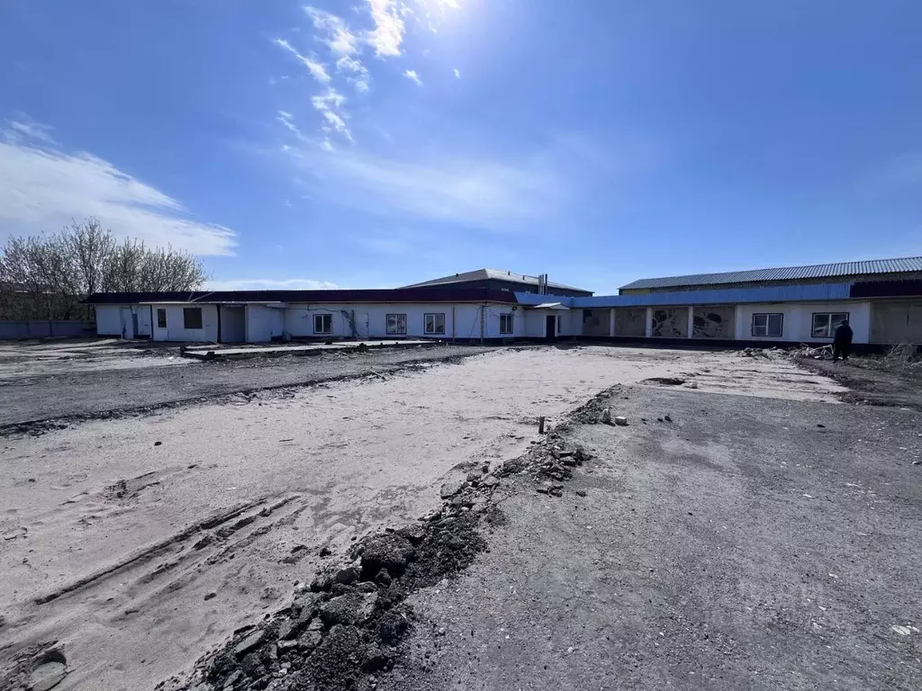 Помещение свободного назначения в Самарская область, Ставропольский ... - Фото 1