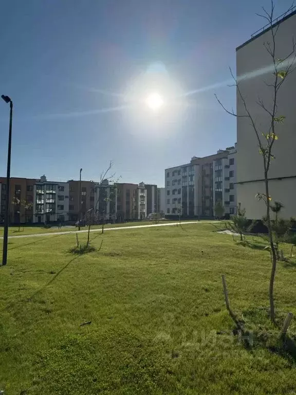 2-к кв. Волгоградская область, Волгоград ул. Химина, 16В (55.0 м) - Фото 2