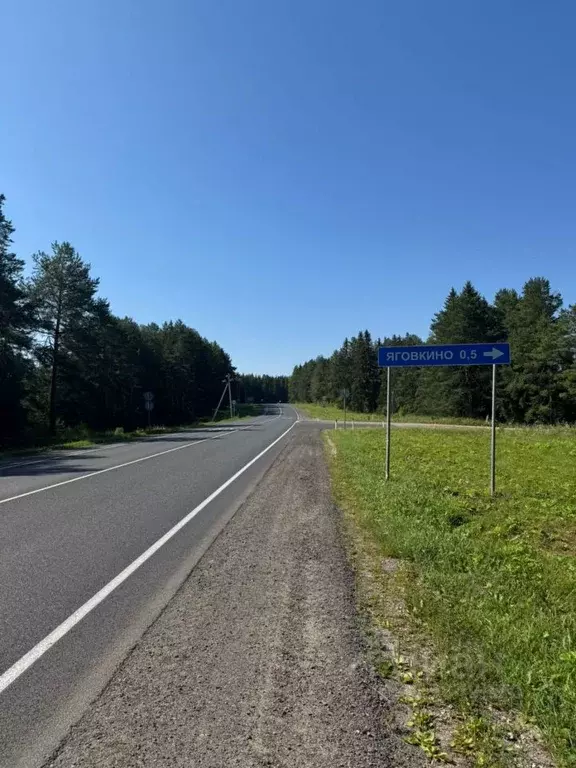 Участок в Кировская область, Слободской район, Ильинское с/пос, д. ... - Фото 1