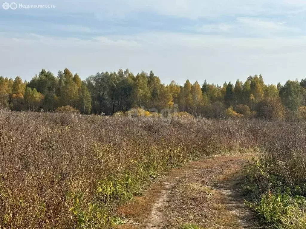 Участок в Республика Марий Эл, городской округ Йошкар-Ола, деревня ... - Фото 0