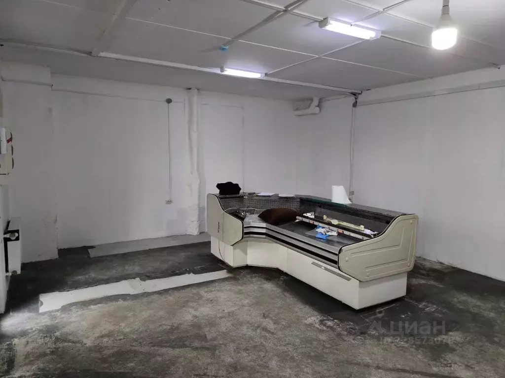 Помещение свободного назначения в Калининградская область, Светлогорск ... - Фото 1