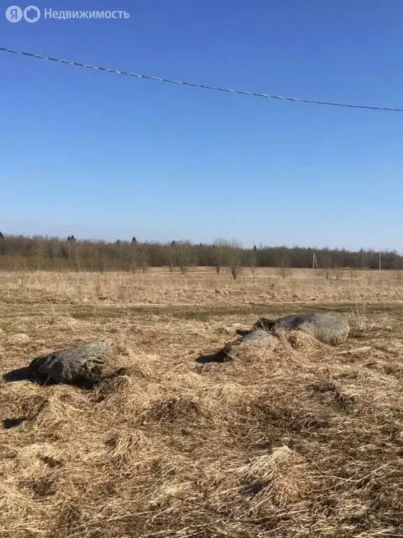 Участок в Волосовский район, Калитинское сельское поселение, деревня ... - Фото 1