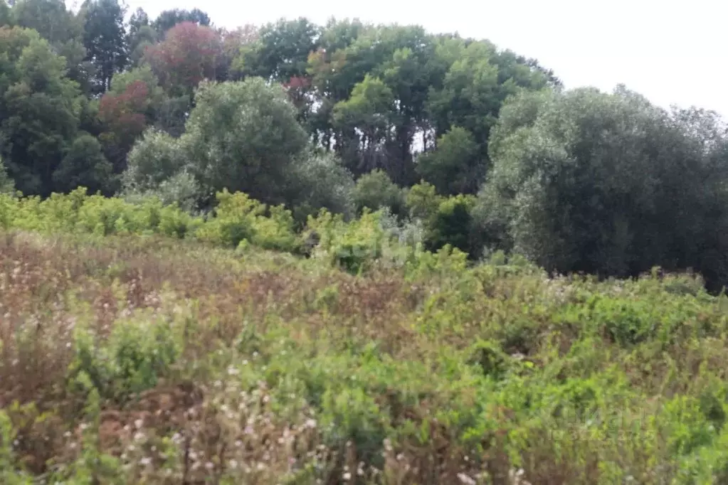 Участок в Алтайский край, Алтайский район, Урочище Белокуриха тер. 1 ... - Фото 1