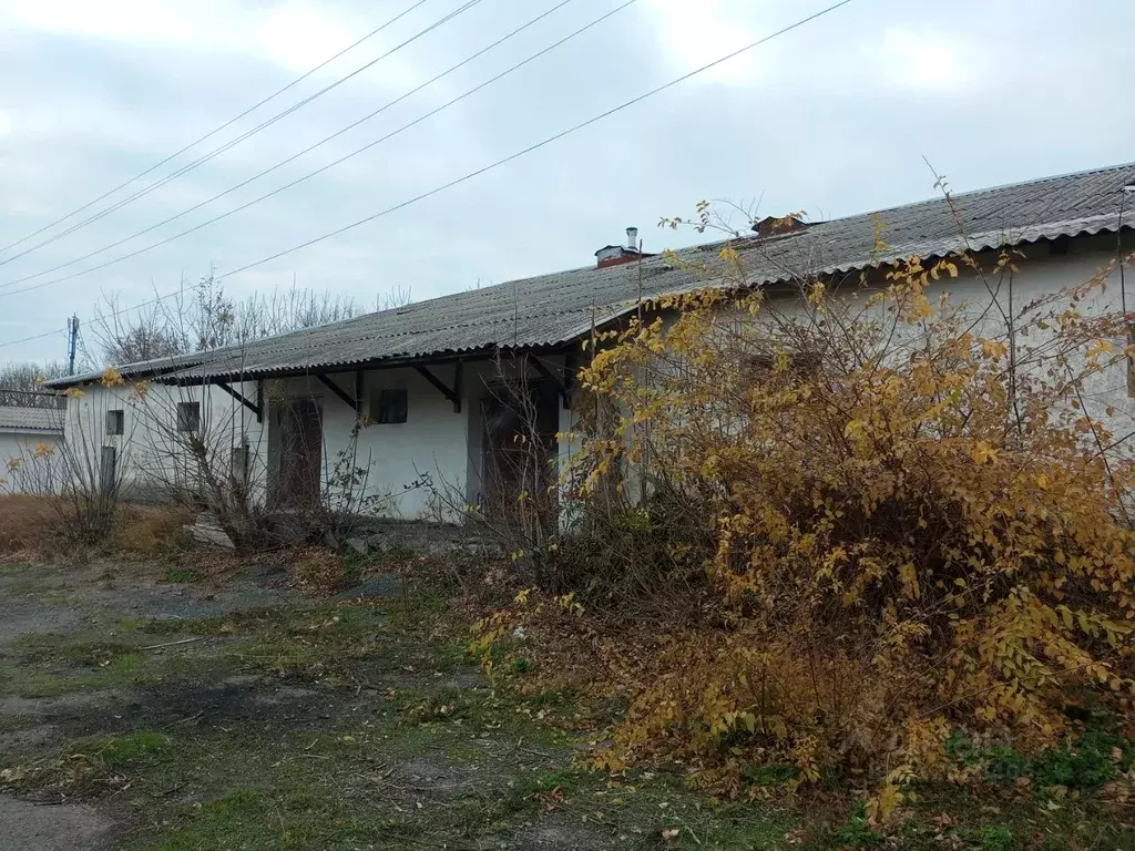 Помещение свободного назначения в Ростовская область, ... - Фото 1