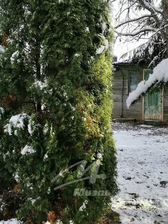 Продается дача в с. Каринское - Фото 1