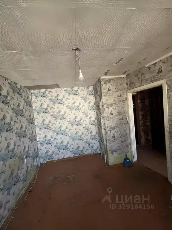1-к кв. Нижегородская область, Кстово 2-й мкр, 25 (21.4 м) - Фото 2