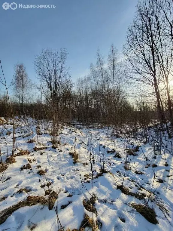 Участок в село Булатниково, Колхозная улица, 20 (71 м) - Фото 0