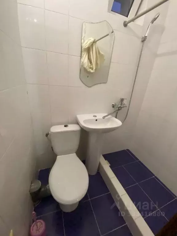 Студия Севастополь ул. Короленко, 6 (25.0 м) - Фото 1