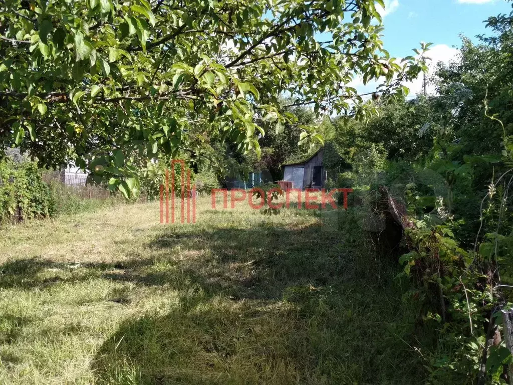 Участок 6,3 сот. (СНТ, ДНП) - Фото 0