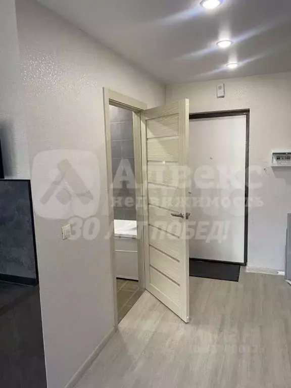 Студия Тюменская область, Тюмень ул. Новоселов, 113 (27.1 м) - Фото 2