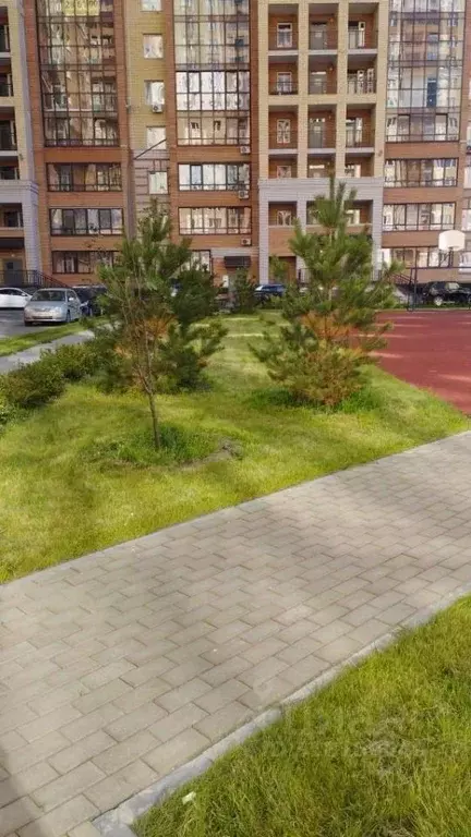 Студия Омская область, Омск ул. А.Н. Кабанова, 2 (41.55 м) - Фото 1