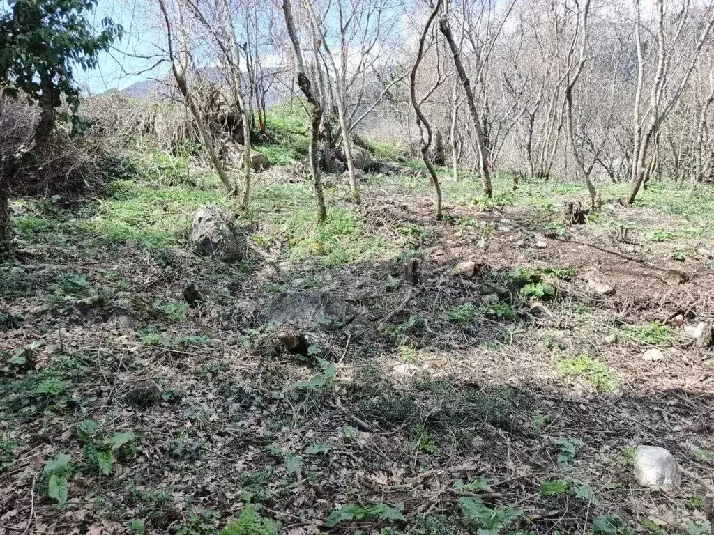 Участок в Крым, Алушта муниципальный округ, с. Запрудное  (9.8 сот.) - Фото 1