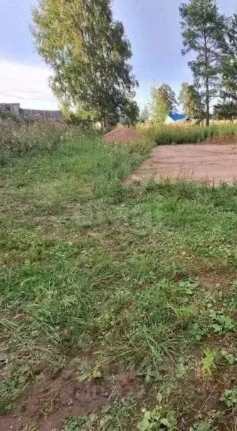 Участок в Вологодская область, с. Марьинское  (19.0 сот.) - Фото 1