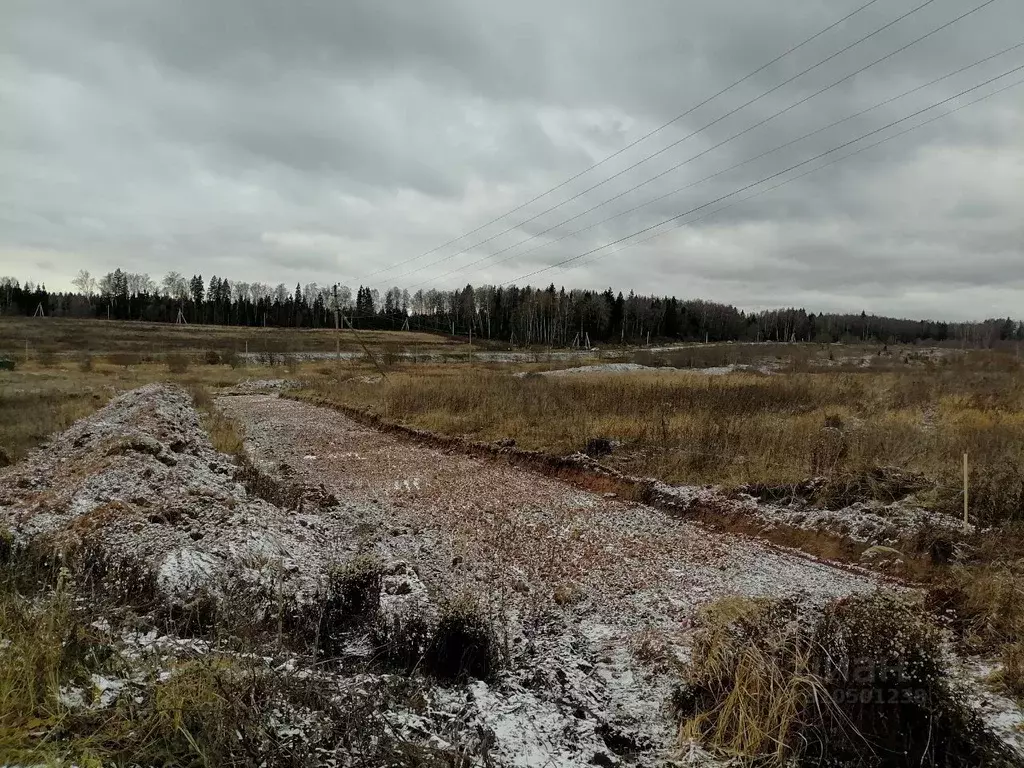 Участок в Московская область, Дмитровский городской округ, Ассаурово ... - Фото 0