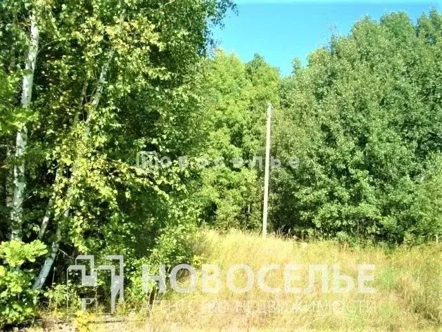 Участок в Рязанская область, Рыбновский район, Кузьминское с/пос, д. ... - Фото 1