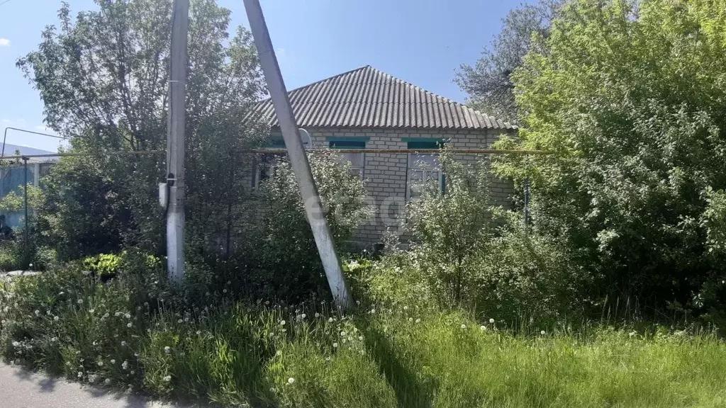 Дом в Белгородская область, Новооскольский муниципальный округ, с. ... - Фото 0