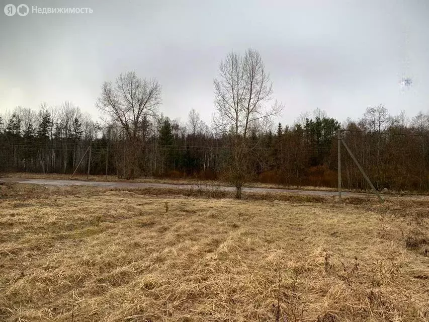 Участок в Волосовский район, Сабское сельское поселение, деревня ... - Фото 2