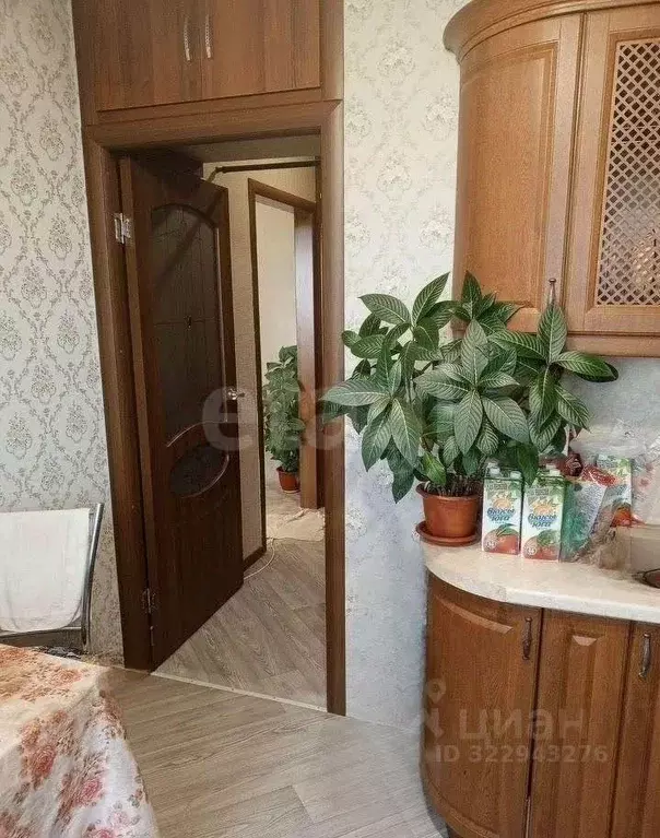 2-к кв. Алтайский край, Бийск пер. Николая Гастелло, 4 (54.8 м) - Фото 1