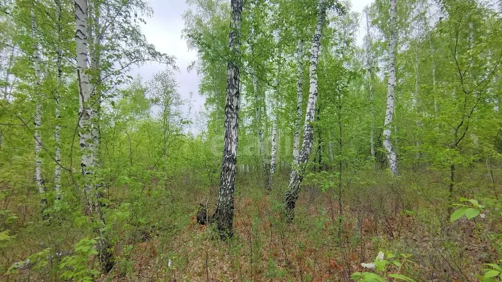 Купить Участок Г Курган Снт Надежда