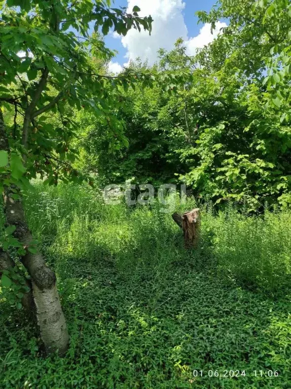 Участок в Ростовская область, Сальский район, Рыбасовское с/пос, Луч ... - Фото 1