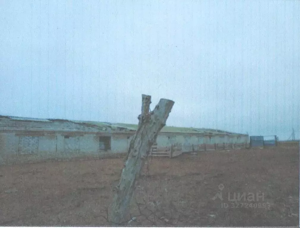 Помещение свободного назначения в Волгоградская область, ... - Фото 2