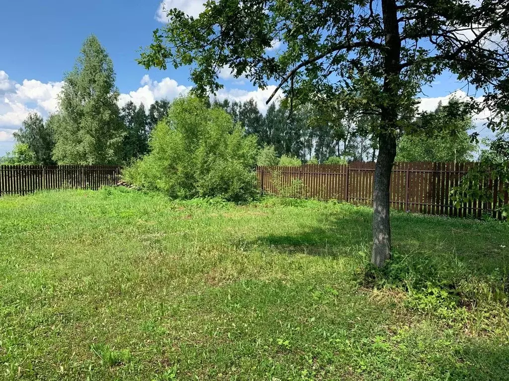 Участок в Тульская область, Ясногорский район, Теляковское ... - Фото 2