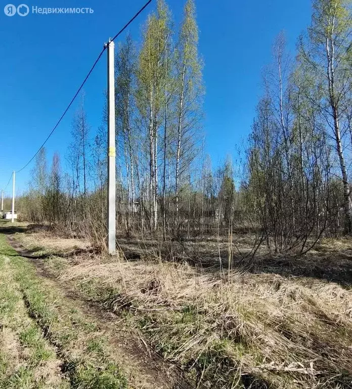 Участок в Вологда, садоводческое товарищество Медик (6.23 м) - Фото 0