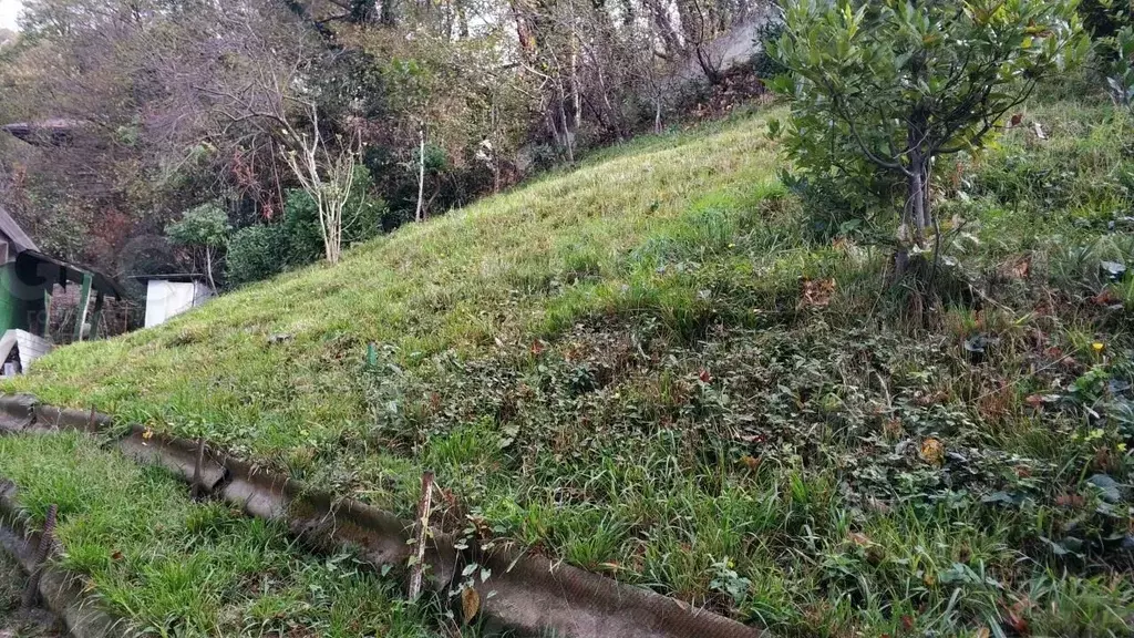 Участок в Краснодарский край, Сочи Хоста жилрайон, ул. Туренко (7.0 ... - Фото 2