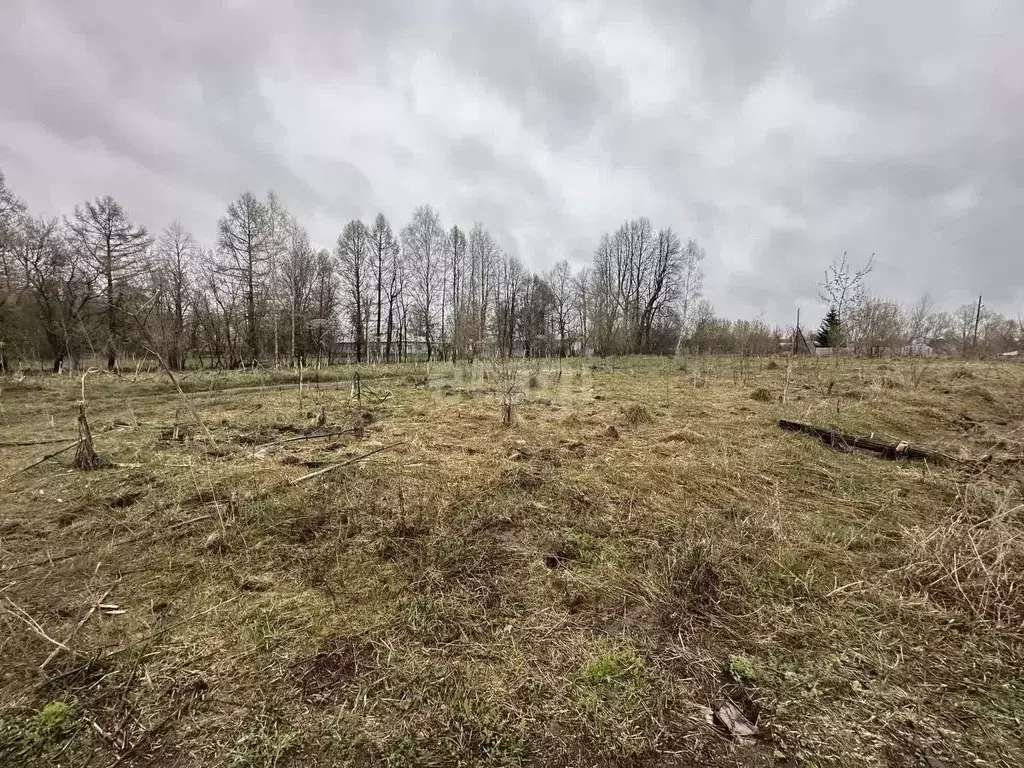 Участок в Владимирская область, Муромский район, с. Борисоглеб ... - Фото 1