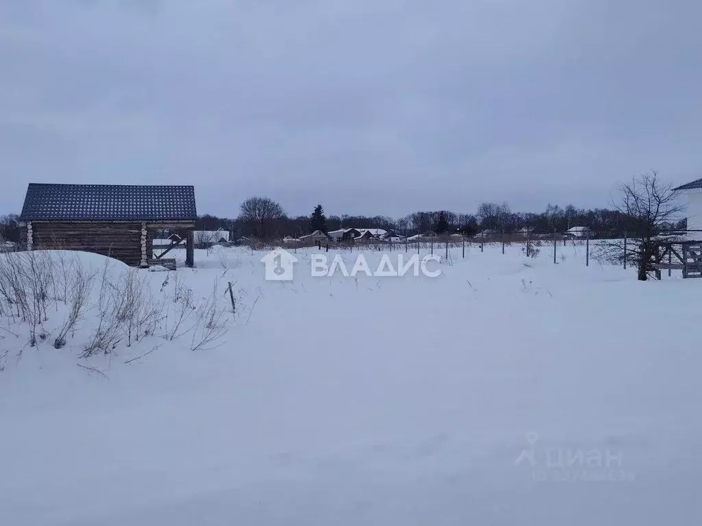 Участок в Пензенская область, Бессоновский район, с. Чемодановка ул. ... - Фото 1