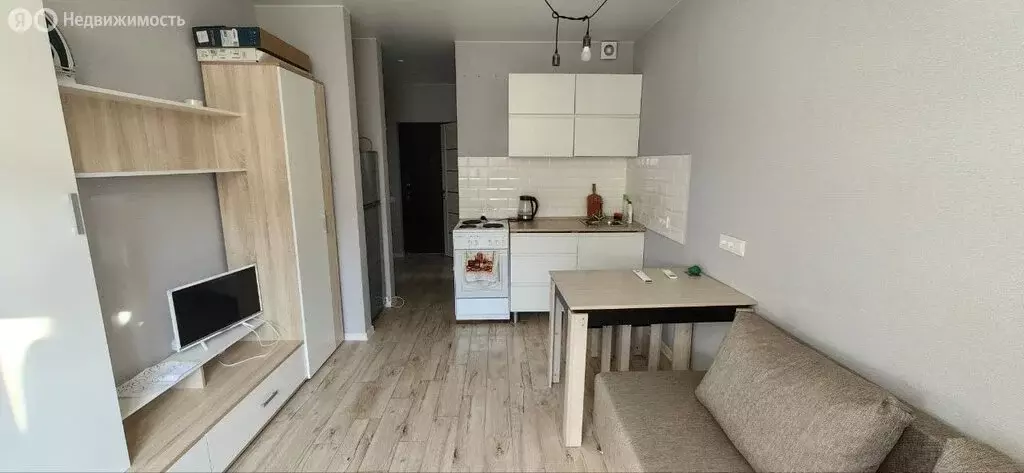 1-комнатная квартира: село Весёлое, Короткий переулок, 4А (19 м) - Фото 1