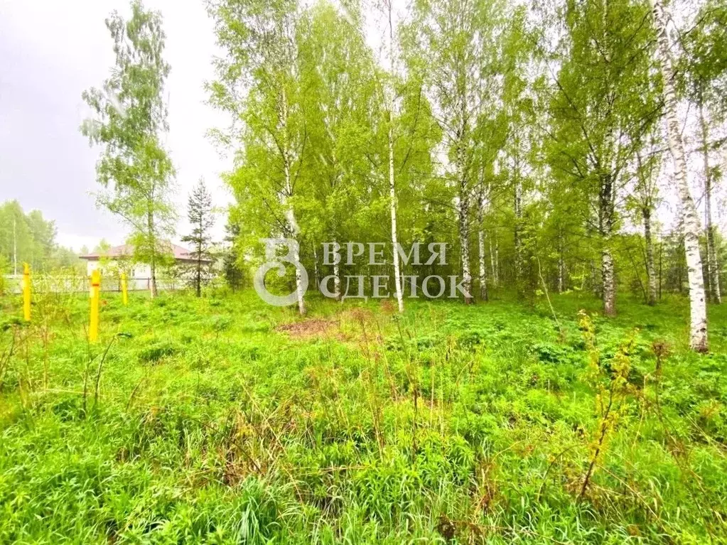 Участок в Владимирская область, Владимир ул. Большая Лукинская, 48 ... - Фото 2