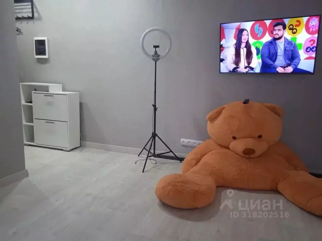 1-к кв. Чувашия, Канаш ул. Чкалова, 17 (30.0 м) - Фото 1