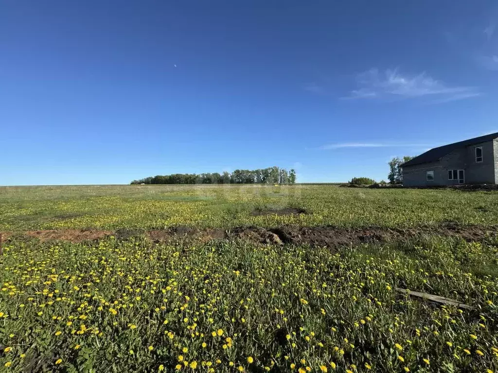 Участок в Мордовия, Саранск городской округ, пос. Пушкино  (15.0 сот.) - Фото 1