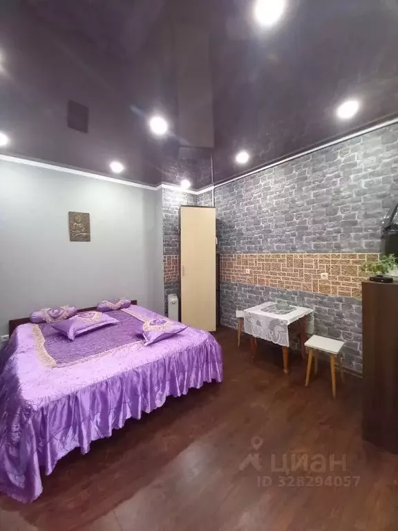 1-к кв. Ставропольский край, Кисловодск ул. Куйбышева, 14 (28.0 м) - Фото 2