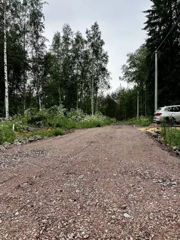 Участок в Ленинградская область, Всеволожск ул. Камышовая, 1 (6.0 ... - Фото 0