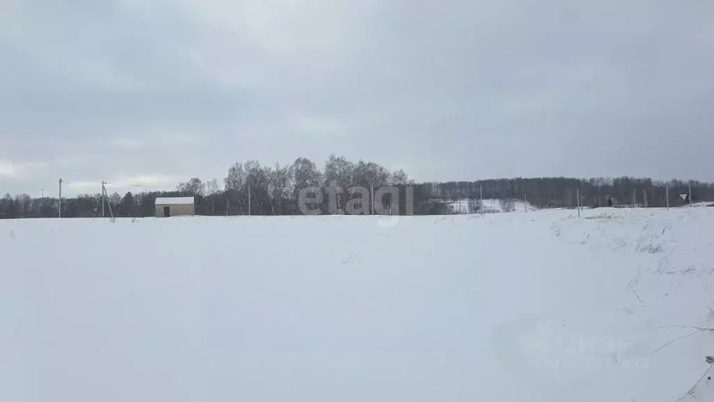 Участок в Кемеровская область, Кемеровский муниципальный округ, пос. ... - Фото 1