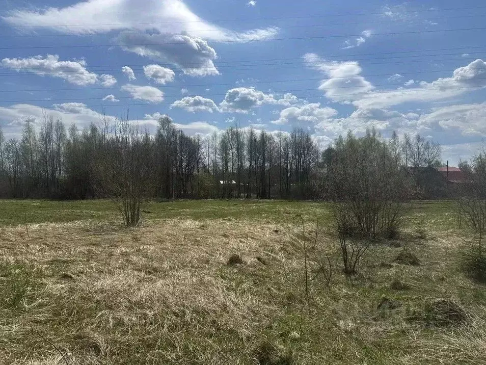 Участок в Московская область, Рузский муниципальный округ, пос. ... - Фото 2