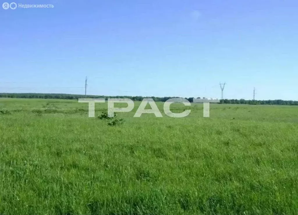 Участок в Пчельники, Луговая улица, 47 (10 м) - Фото 0