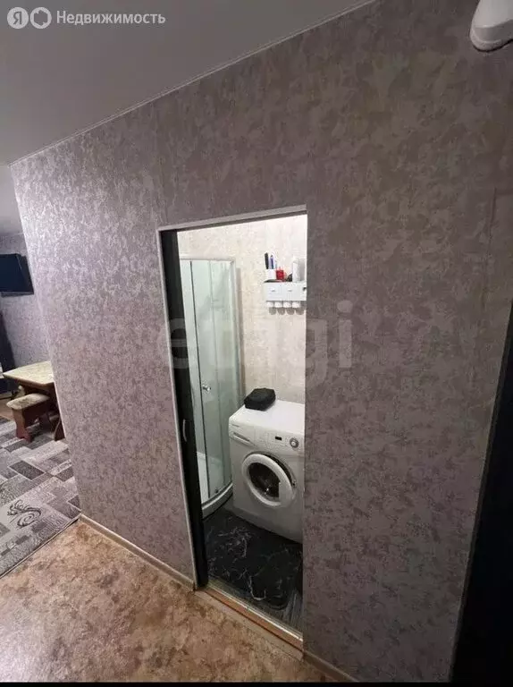 Квартира-студия: Барнаул, улица Эмилии Алексеевой, 60 (20 м) - Фото 1