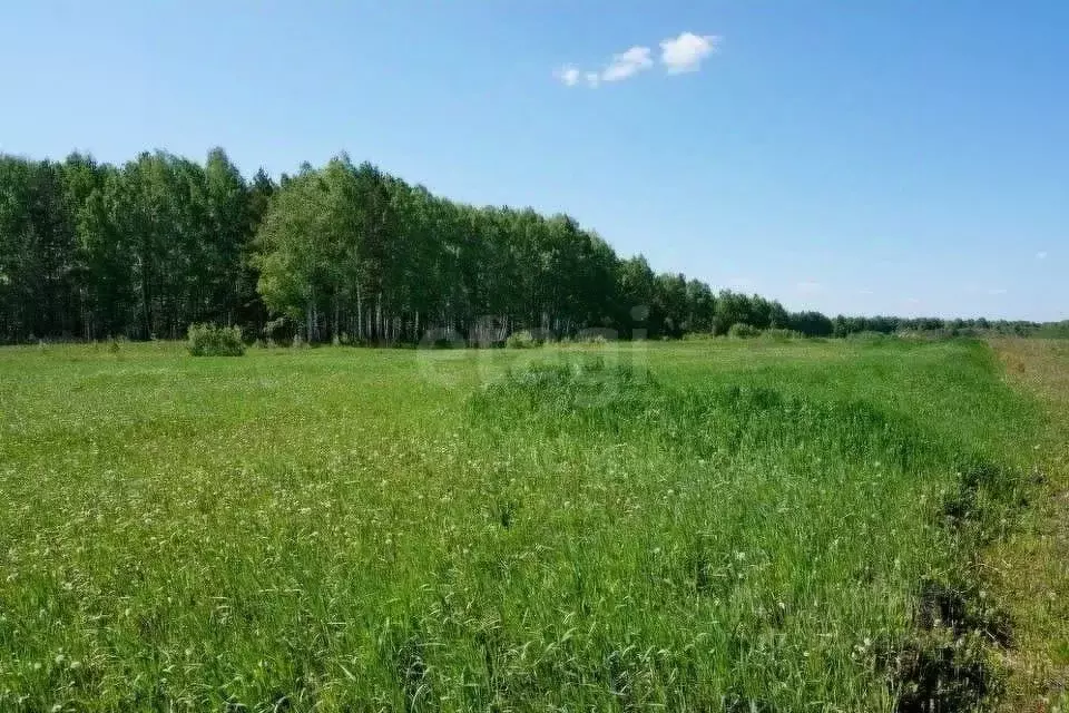 Склад в Курганская область, Белозерский муниципальный округ, д. ... - Фото 1