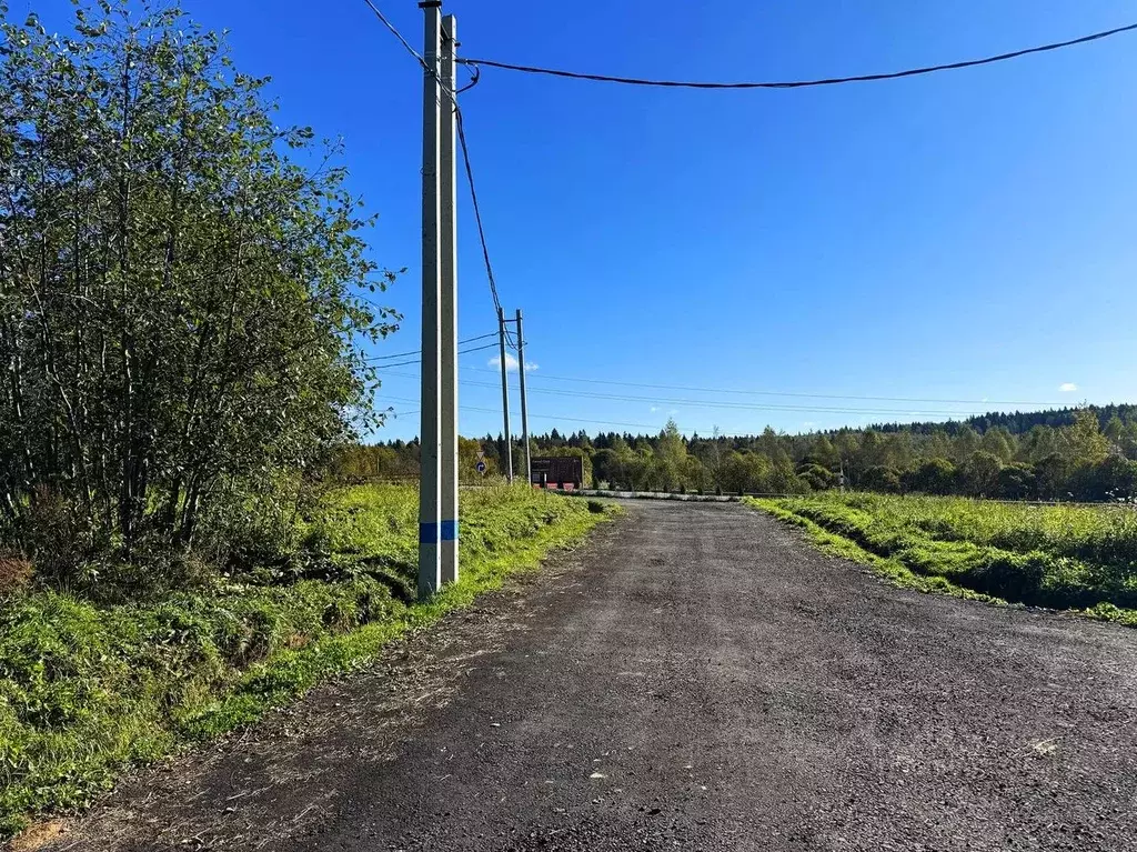 Участок в Московская область, Дмитровский муниципальный округ, Форест ... - Фото 1