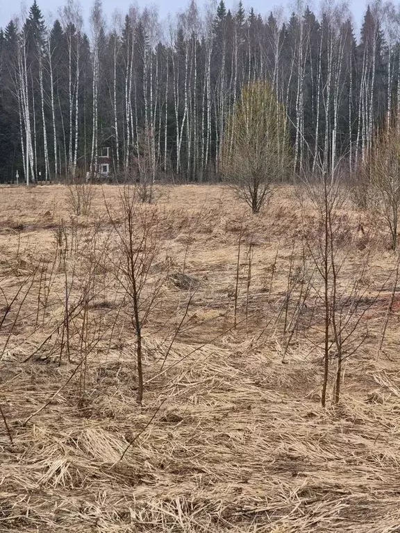 Участок 24,5 сот. (СНТ, ДНП) - Фото 1