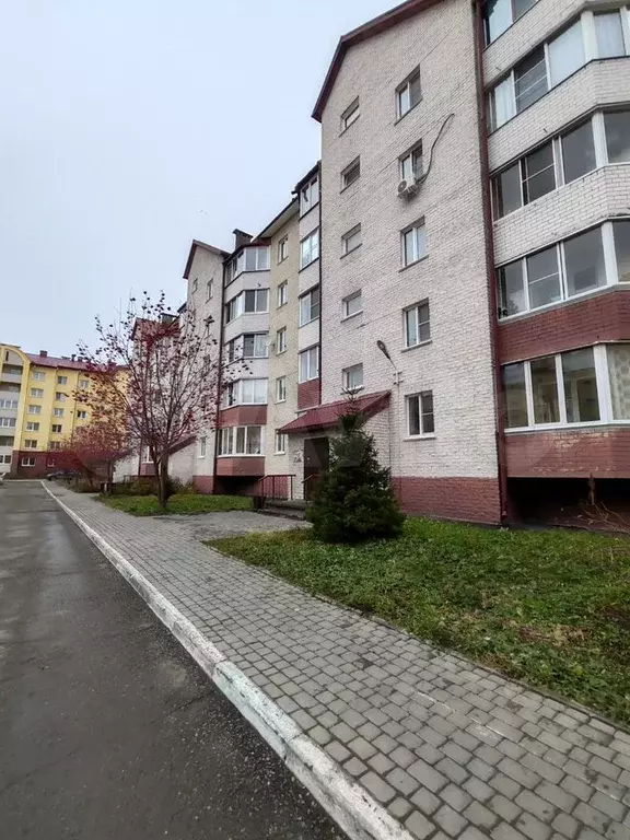 1-к. квартира, 36 м, 1/5 эт. - Фото 1