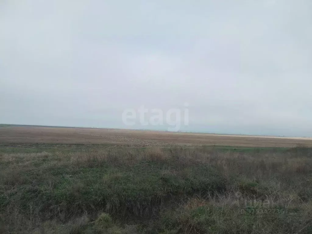 Участок в Крым, Ленинский район, Семисотское с/пос, с. Каменское ул. ... - Фото 1