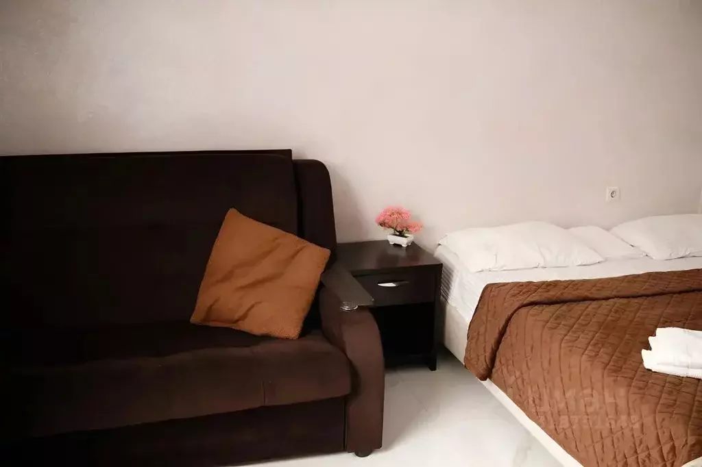 1-к кв. Краснодарский край, Сочи ул. Просвещения, 85Б (32.0 м) - Фото 1