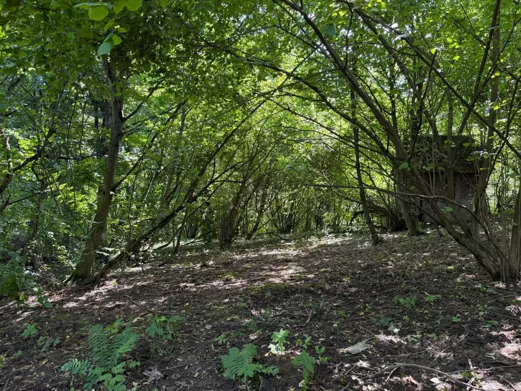 Участок в Кабардино-Балкария, Нальчик городской округ, с. Белая Речка ... - Фото 1