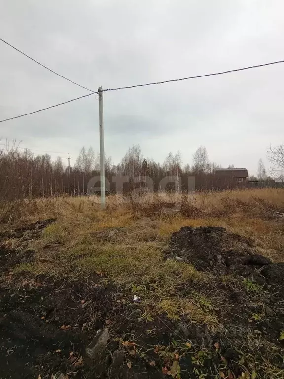 Участок в Курганская область, Шадринск ул. Фофанова, 23 (10.0 сот.) - Фото 1