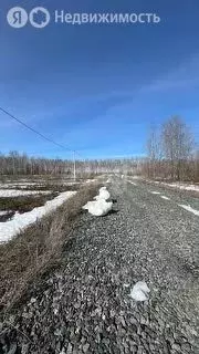 Участок в Ишимский район, посёлок Плодопитомник (14.88 м) - Фото 1